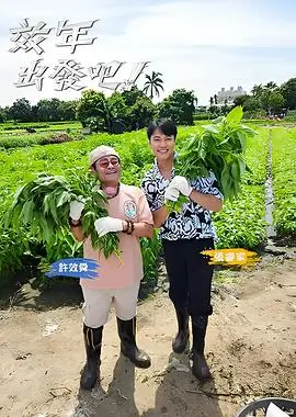 日本综艺巷口料理人在线观看